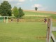 Thumbs/tn_DSCN3987.jpg
